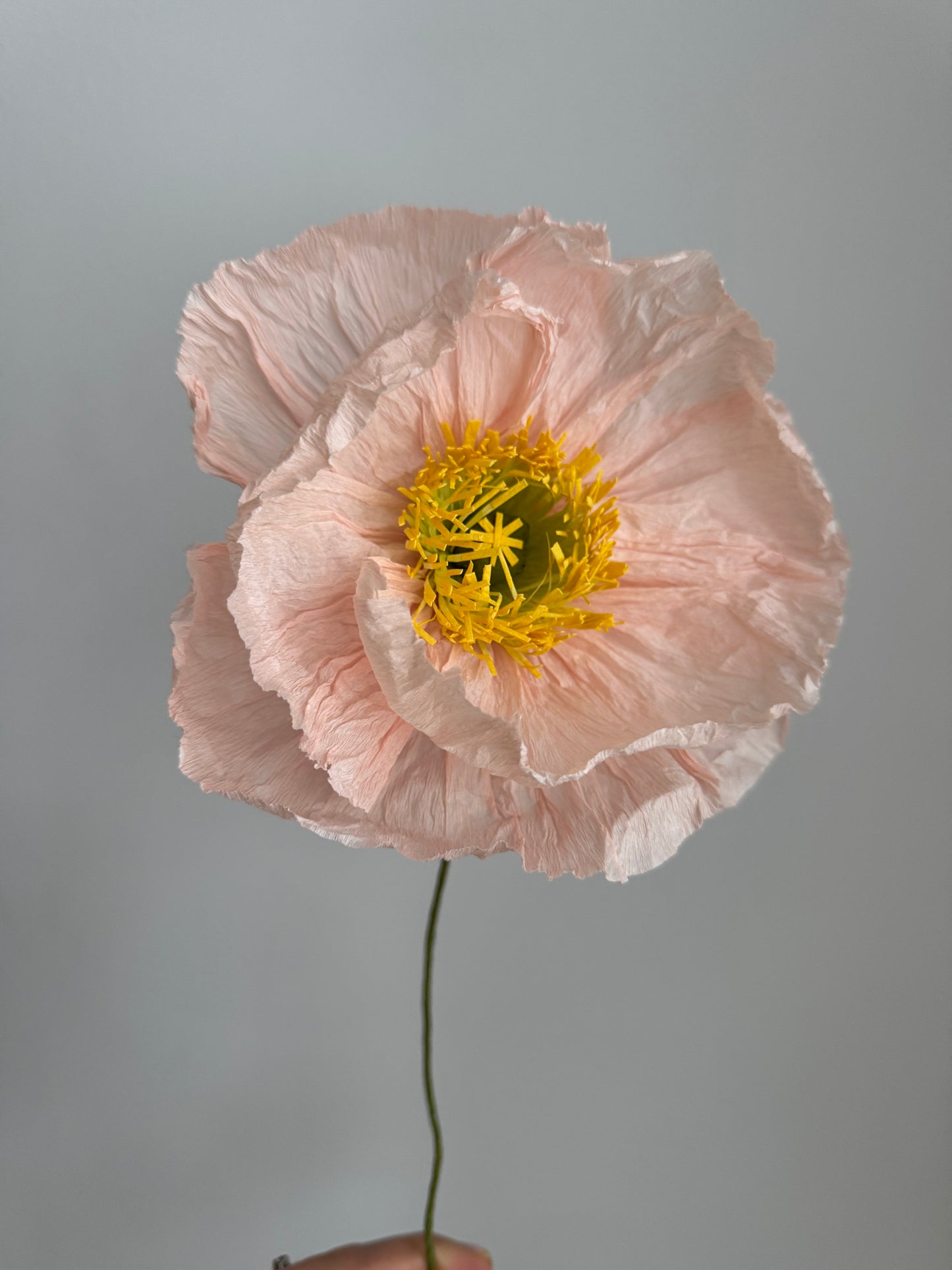 Paper Poppies