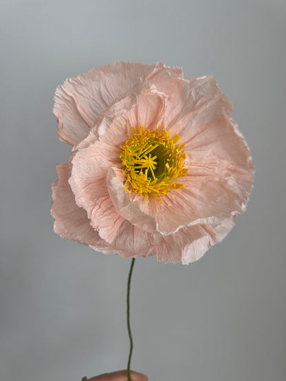 Paper Poppies