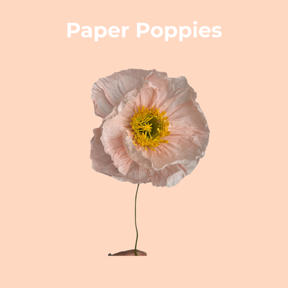 Paper Poppies